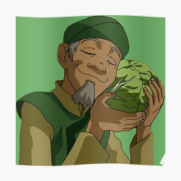"Cabbage Guy Avatar The Last Airbender" Poster for Sale by PopAltArt