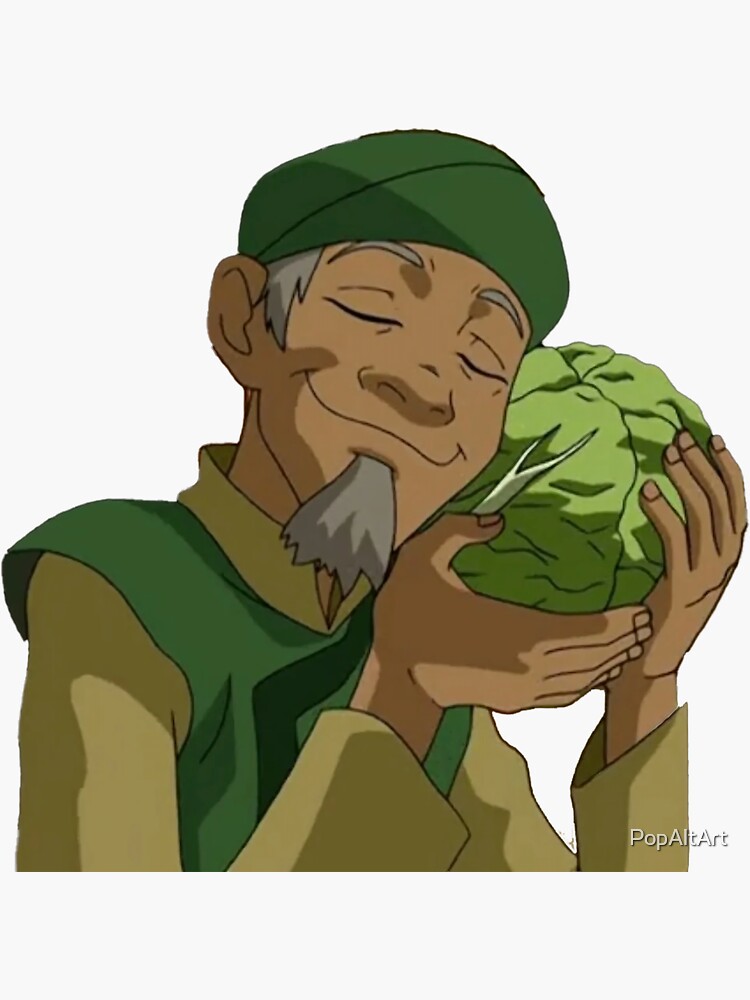 "Cabbage Guy Avatar The Last Airbender" Sticker for Sale by PopAltArt
