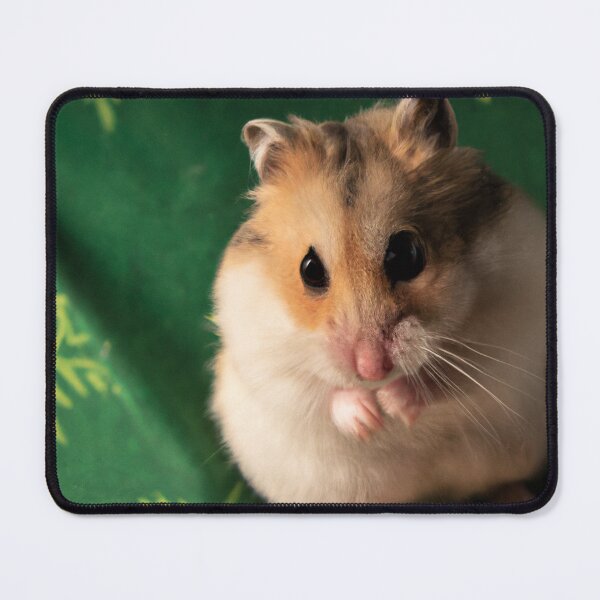 Item preview, Portrait of Plotting Hamster designed and sold by Bakesales.