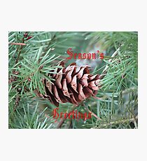 Seasons Greetings Photographic Print