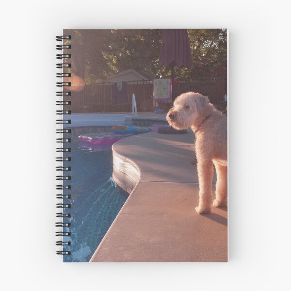 Item preview, Pool Patrol designed and sold by dlamb.
