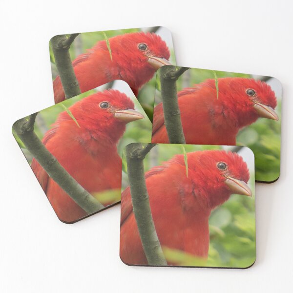 Item preview, Summer Tanager designed and sold by TxBirdGuy.