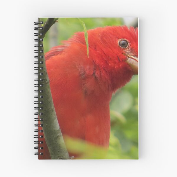 Item preview, Summer Tanager designed and sold by TxBirdGuy.