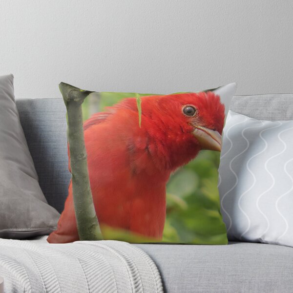 Item preview, Summer Tanager designed and sold by TxBirdGuy.