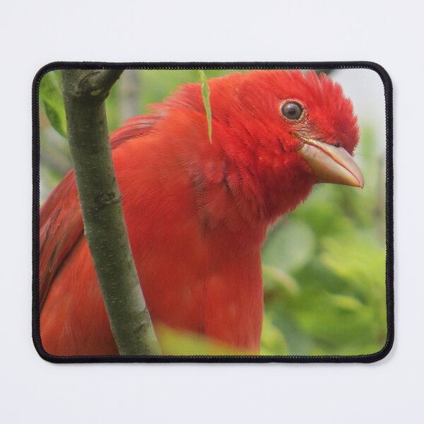 Item preview, Summer Tanager designed and sold by TxBirdGuy.