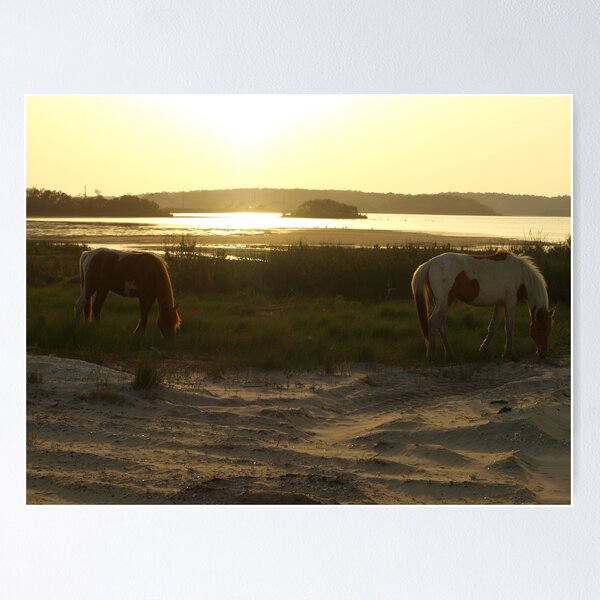 Item preview, Assateague Sunset designed and sold by kimbarose.