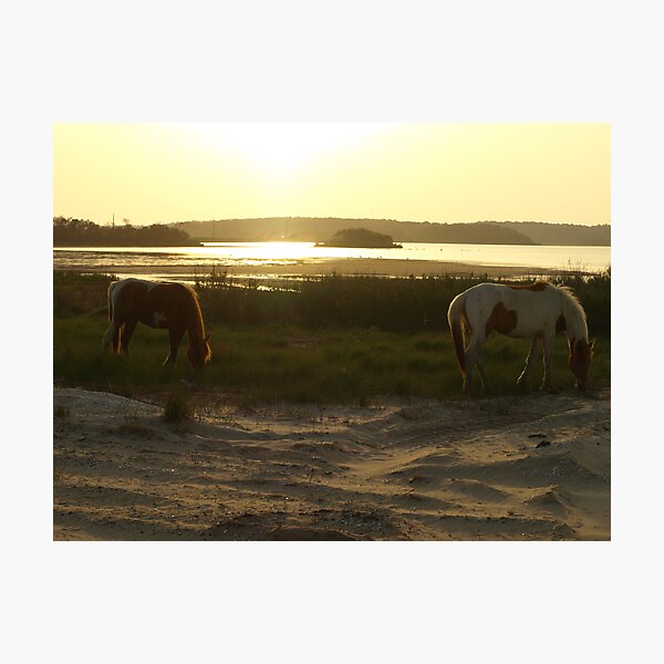Item preview, Assateague Sunset designed and sold by kimbarose.