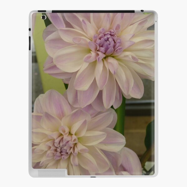 Dahlia #8 iPad Skin