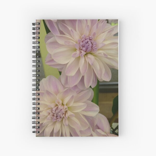 Dahlia #8 Spiral Notebook