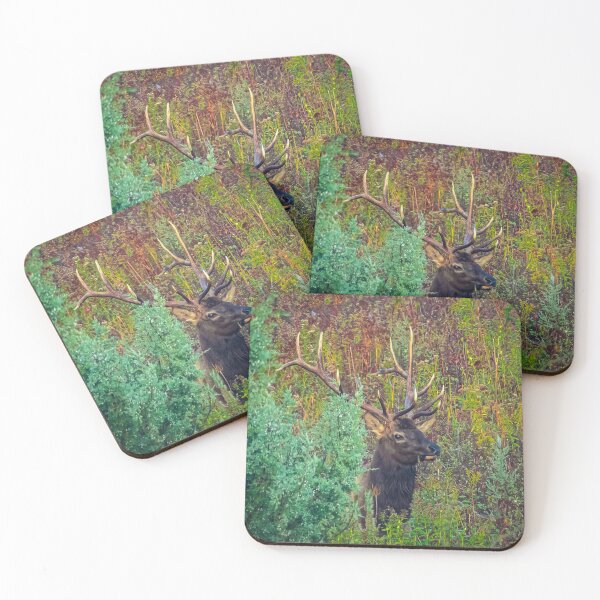 Item preview, Fall Delight Rocky Mountain Elk designed and sold by Rodney55.