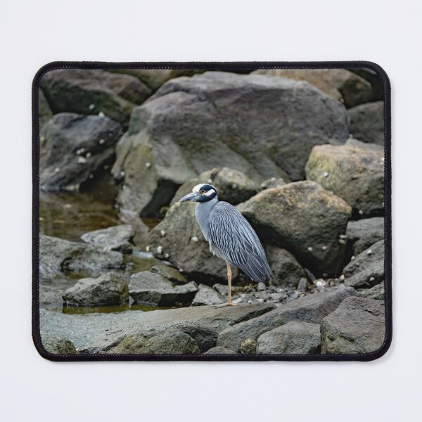 Item preview, Yellow Crowned Night Heron on Rock Pile designed and sold by ShorelineImages.