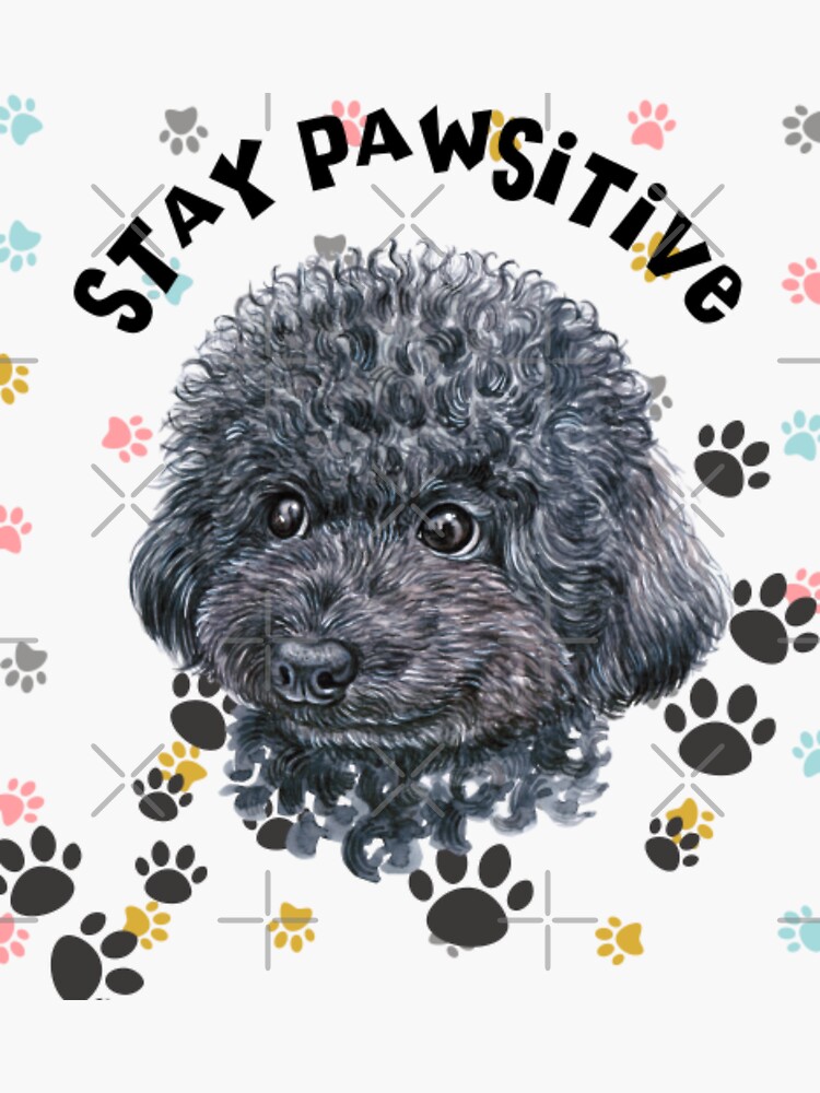 Dog Hoodie - Stay Pawsitive - Exclusive Design