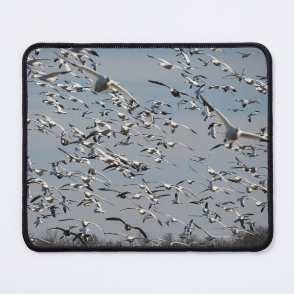 Item preview, Geese Flying Together designed and sold by TxBirdGuy.