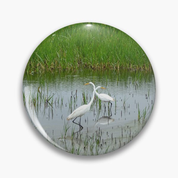 Item preview, Pair of Great Egret with Necks Crossed designed and sold by ShorelineImages.