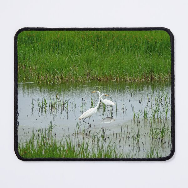 Item preview, Pair of Great Egret with Necks Crossed designed and sold by ShorelineImages.