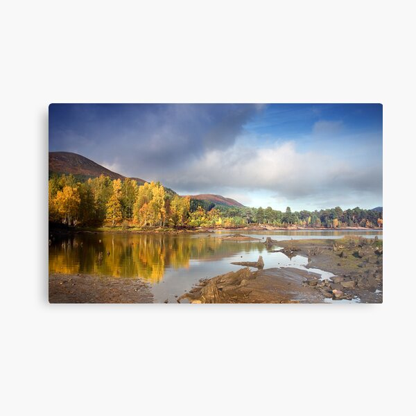 Glen Affric autumn Metal Print