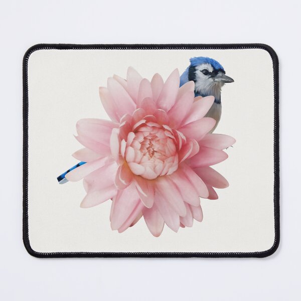 Item preview, Hello Cute Blue Jay designed and sold by BohemiWANDERS.