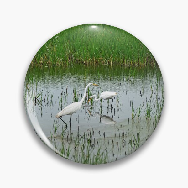 Item preview, Pair of Great Egret in Pristine Wildlife Refuge designed and sold by ShorelineImages.
