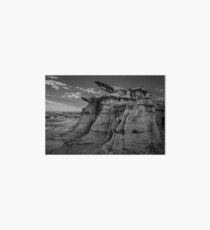 Bisti Badlands in Black and White Art Board
