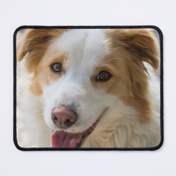 Item preview, Mindy designed and sold by johkar-photos.