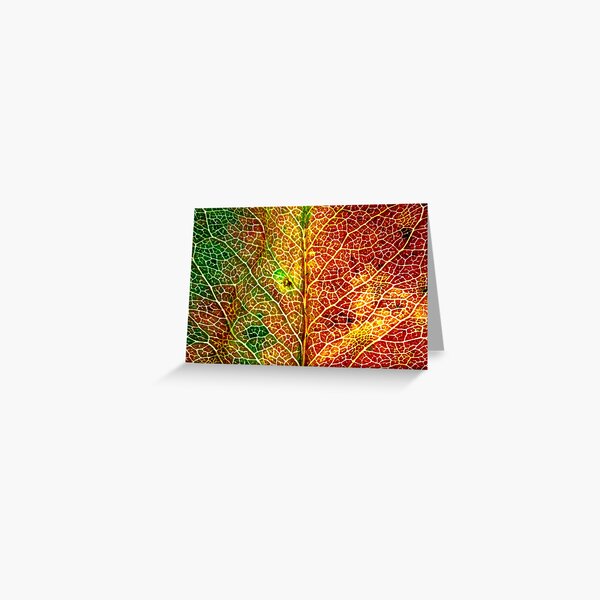 Elven Crest Greeting Card