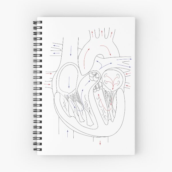Item preview, Anatomy of the Heart (no text) designed and sold by Joseph Bangsund.