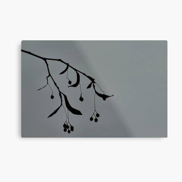 Art Against A Cloudy Day Metal Print