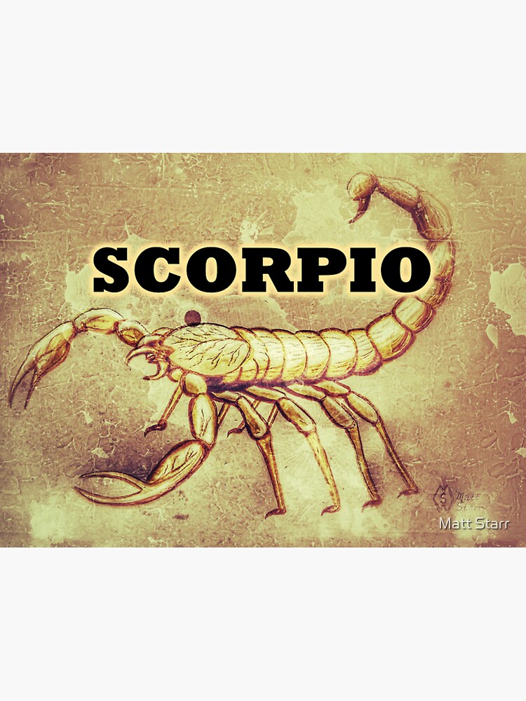 Scorpio Zodiac sign Sticker