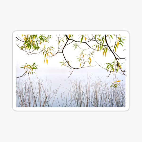 Fog on the Lake Sticker