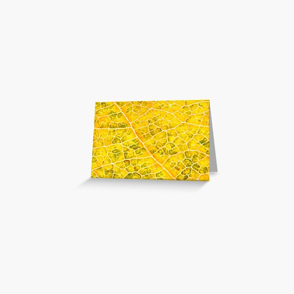Lizard Leaf Greeting Card