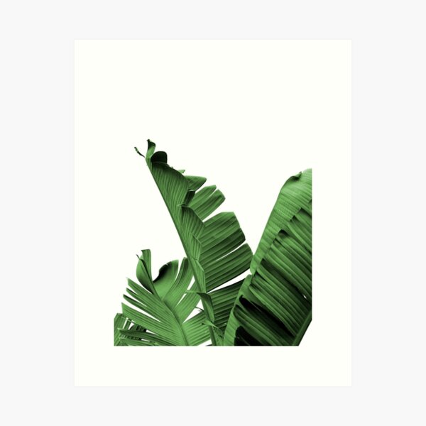 Item preview, Banana Leaves designed and sold by THE MIUUS STUDIO.