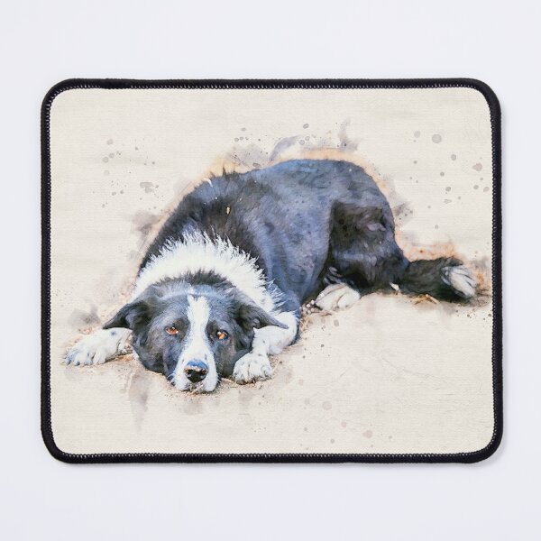 Item preview, Cute Border Collie Lying on Ground Watercolor designed and sold by Amy Mitchell.