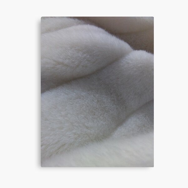 Ossssso Canvas Print