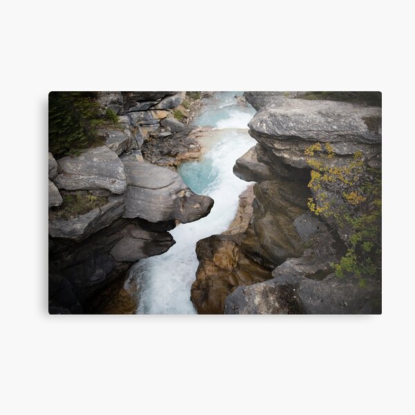 Rush Metal Print