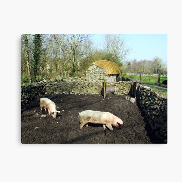 Item preview, Two pigs in rural Ireland designed and sold by John Quinn.