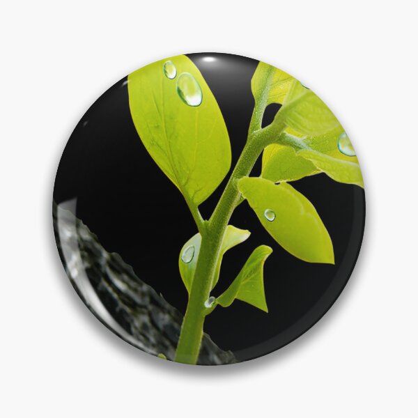 Item preview, Green Flower Bud designed and sold by ANASTACIABURNS.