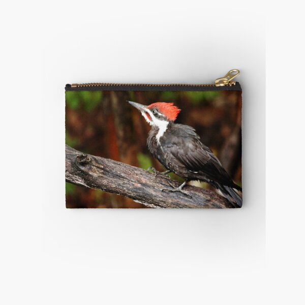 Item preview, Pileated Woodpecker designed and sold by Debbie Oppermann.