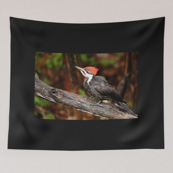 Item preview, Pileated Woodpecker designed and sold by Debbie Oppermann.