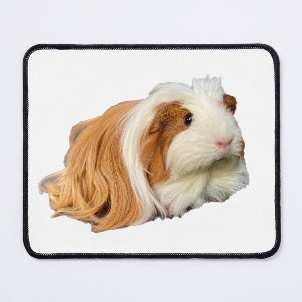 Item preview, Rapunzel the guinea pig designed and sold by Hezzyuk.