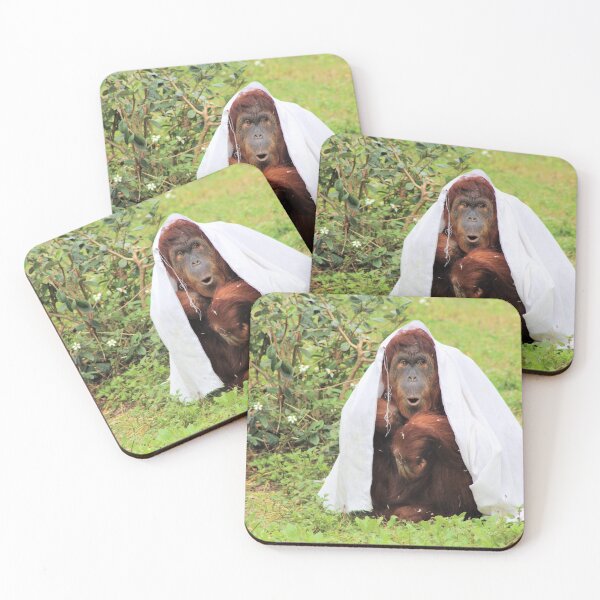 Item preview, Silly Orangutan designed and sold by Callistomuseum.