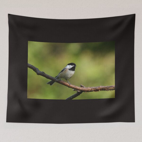 Item preview, Black Capped Chickadee designed and sold by Debbie Oppermann.