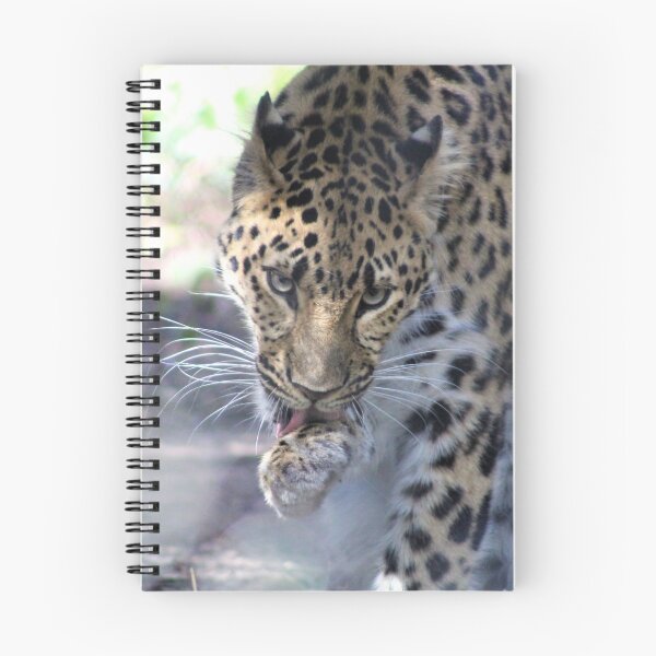 Item preview, Jaguar  designed and sold by Callistomuseum.