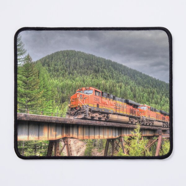 Item preview, Burlington Northern Santa Fe # 7396 designed and sold by RandyDyer.
