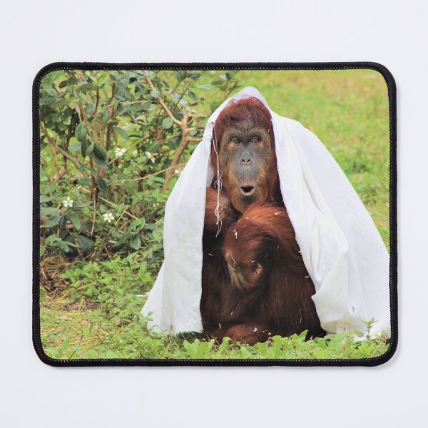 Item preview, Silly Orangutan designed and sold by Callistomuseum.