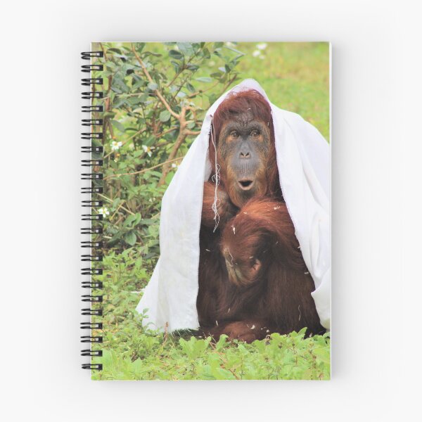 Item preview, Silly Orangutan designed and sold by Callistomuseum.