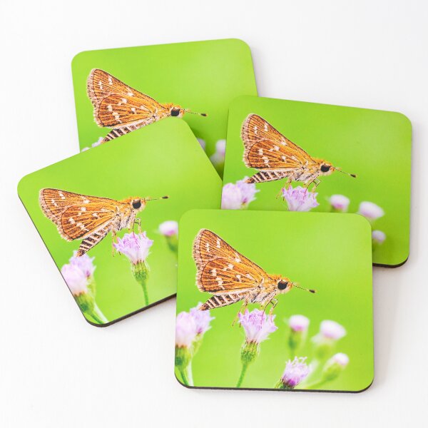 Item preview, Butterfly landing on flower buds, green leaves, images designed and sold by Lens Light Visuals.