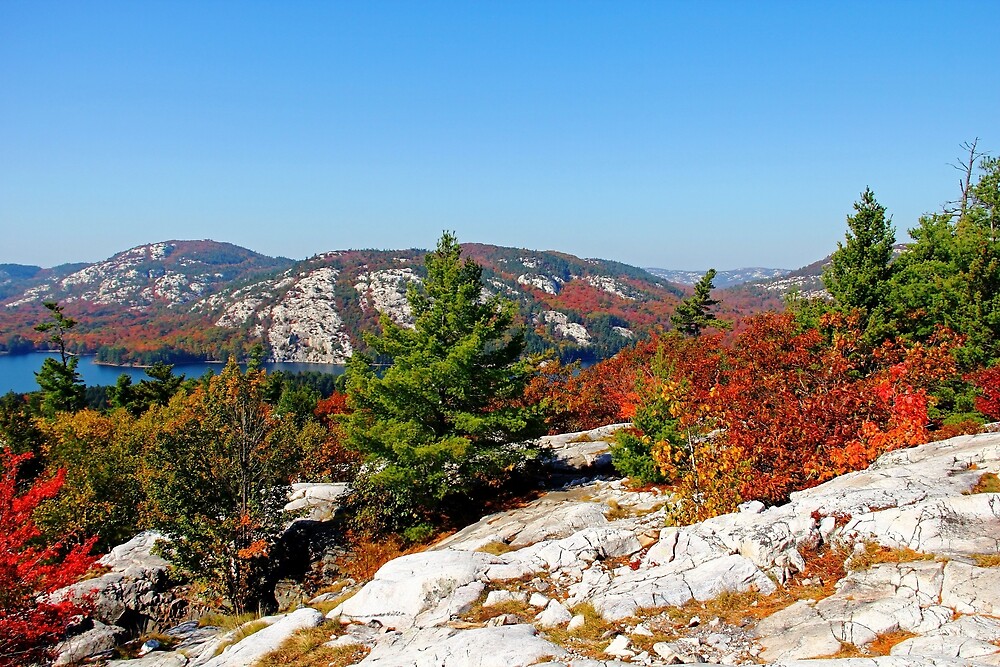 "Killarney Fall" by Debbie Oppermann Redbubble