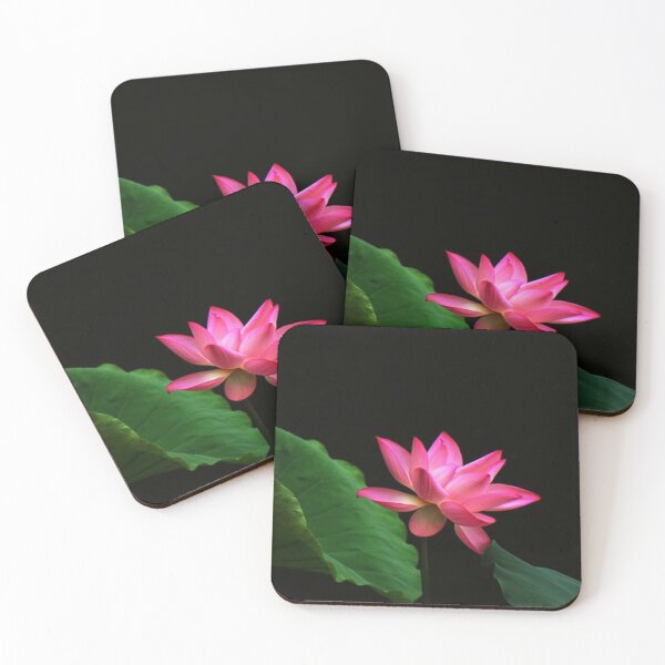 Item preview, Lotus Flower designed and sold by NengShop.