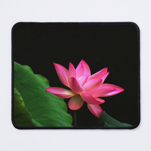 Item preview, Lotus Flower designed and sold by NengShop.