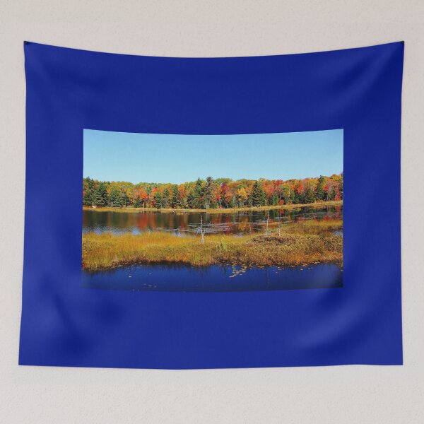 Item preview, Fall Marsh designed and sold by Debbie Oppermann.
